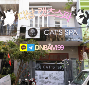 다낭 캣츠스파 전립선 림프 웰니스 전문 가격 예약